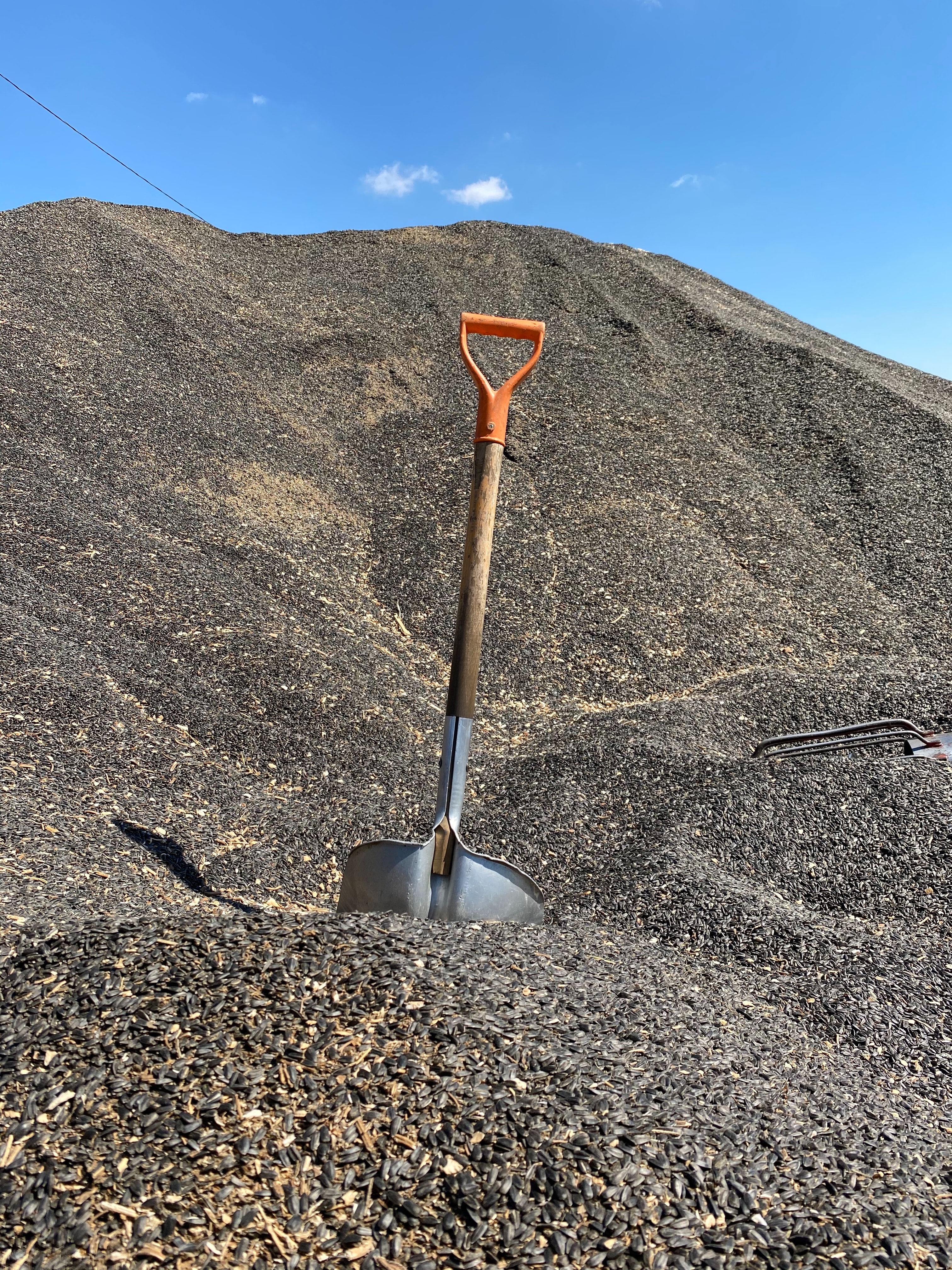 Shovel digging into the ground.